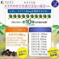 ファイン　ひとみの恵ルテイン40 60粒　1個　栄養機能食品