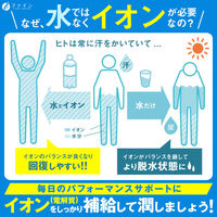 ファイン　イオンドリンク　ビタミンプラス ライチ味 22包　1箱　栄養機能食品
