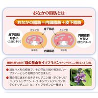 ファットケアタブレット（粒タイプ） 大正製薬 【機能性表示食品】