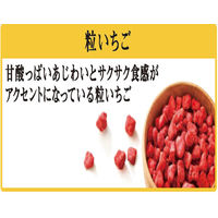 ごろグラ いちごづくし 320g 1セット(3袋) シリアル 日清シスコ