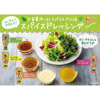 ハウス食品 おろし生わさび  2個