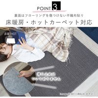 スミノエ クレンゼラグ 抗菌・抗ウィルスラグ 1800×1800mm ネイビー 1枚（直送品）
