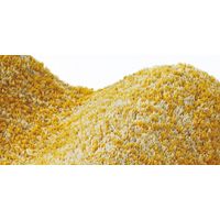 スミノエ HOMRUG マット ラビィフレーテ 500×800mm イエロー 1枚（直送品）