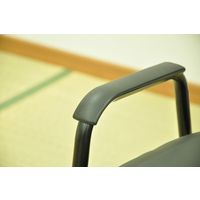 エイ・アイ・エス 楽座椅子 ロータイプ ブラック RCH-04BK-4PCS 1セット(4脚入)（直送品）