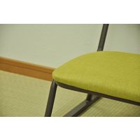 エイ・アイ・エス 楽座椅子 ロータイプ グリーン RCL-03GN-4PCS 1セット(4脚入)（直送品）