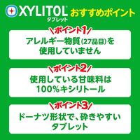 ロッテ キシリトールタブレット 大容量パウチ 2個