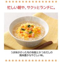 ヒガシマル醤油 ちょっとぞうすい さけ 24g（8g×3袋） 1個