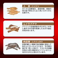 ゼナF0攻力液 （50mL×3本入） 1パック 大正製薬 栄養ドリンク