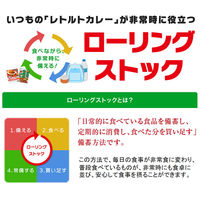 ハウス食品 レトルトジャワカレー 大人の激辛 200g 1セット（10個）