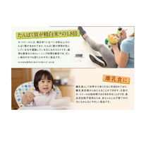 日食 オーガニック ピュアオートミール 330g 24袋