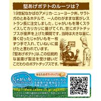 カルビー 堅あげポテト 焼きのり味 65g 3袋