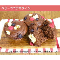ケンコーマヨネーズ バターソース 505g 1本