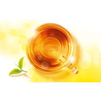 リプトン　エクストラクオリティー ダージリン　1個（450g）