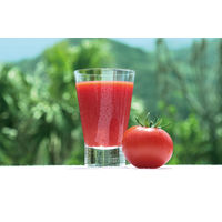 カゴメ 濃厚リコピン 720ml 1箱（15本入）【野菜ジュース】