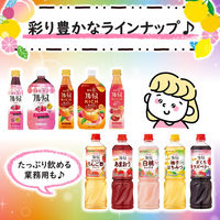 ミツカン フルーティス ざくろラズベリー ストレート 1000ml 1セット（3本）