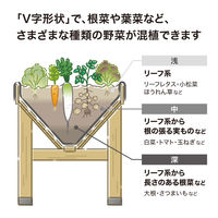 タカショー ホームベジトラグ L VGT-02F 1台（直送品）