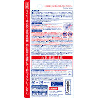 熱中対策 服の上から極寒スプレーミニ 無香料 小林製薬 1本 93mL 冷却スプレー ひんやりグッズ 冷却用品 衣類冷却スプレー