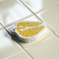 （100%天然素材）ポップアップスポンジ 水でふくらむ キッチンスポンジ カタカタ かもめ 1個 イーオクト