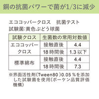 エコンフォートハウス エココッパークロス 銅と水で頑固な汚れを落とす コゲ落とし 茶しぶ落とし 1個 イーオクト