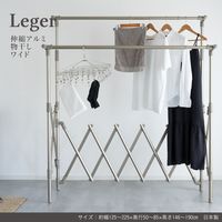 藤栄 伸縮アルミ物干し ワイド シャンパンゴールド 1組