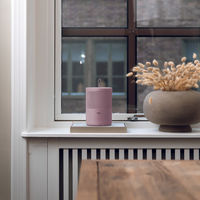 メテックス アブソドライ エコ除湿器 ピンク EBS-JPK 1箱（直送品）