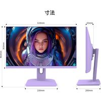 ジャパンネクスト  27インチ ワイドゲーミングモニター(1920x1080/IPS/200Hz) JN-IPS27G200F-PP（直送品）