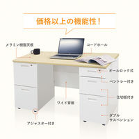 Netforce ナッツ 両袖机 2段×2段 幅1200mm ブラック×ホワイト LRD-126B-AW-WHBK-22 1台（直送品）