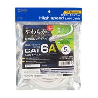 サンワサプライ カテゴリ6Aより線LANケーブル KB-T6AY-05W 1個（わけあり品）
