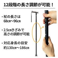竹虎 バンブーステッキワイド ワインレッド 104985 1本