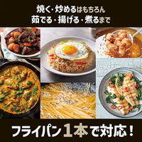 ランテル・メディエール TOKYO LM フライパン 卵焼き LN-2205_S 1個（直送品）