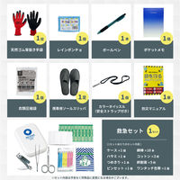 防災セット 中身だけ 1人用 防災士監修 非常用持ち出し袋 防災ラジオ 非常食 保存水 モバイルバッテリー 警戒レベル4（直送品）