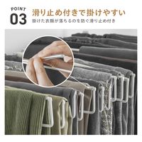 武田コーポレーション スラックスハンガー10本掛け T4-SH10WH 1箱(3個入)（直送品）