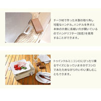 TTS ソリッドミニグリルパンチャコール CGP10200008 1個（直送品）