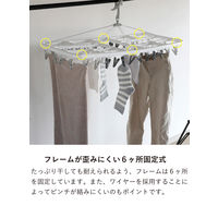 シービージャパン The hangers ランドリーハンガー60P 1個