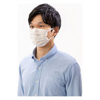 アイリスオーヤマ ナノエアーマスク ゆったりワイドサイズ 7枚入 PK-NI7LL 1個（直送品）