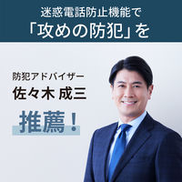 パナソニック デジタルコードレス電話機 VEーGDL49DLーK 1台