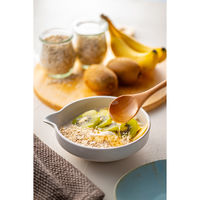 グラノーラ上級者さんのオートミール 500g 1セット（1袋×2） ライスアイランド