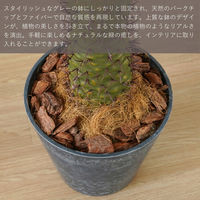 エスエスケイ 光触媒インテリアグリーン ラメリー 110cm 25091 1個（直送品）