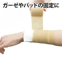 竹虎 タケトラピタッとタイ 2.5cmx4.5m（伸長） 021507 1巻