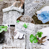 アストロ 敷きわら風 キラキラシート1×10m 530-09 1枚（直送品）