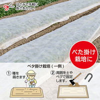 アストロ 虫よけ・霜よけ保護シート(園芸用 不織布シート) 1.6×10m 602-99S 1枚（直送品）