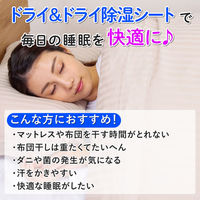 アストロ ドライ&ドライ 防ダニ抗菌防臭!吸湿マット シングル2枚組 614-98 1セット(2枚)（直送品）