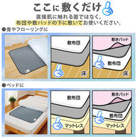 アストロ 活性炭と珪藻土入り除湿シート シングル2枚組 615-45 1セット(2枚)（直送品）