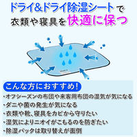 アストロ ドライ&ドライ 防ダニ抗菌防臭!吸湿押入れシート 617-75 1枚（直送品）