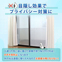 アストロ 水で貼れる! 窓用フィルム 断熱 冷気遮断 結露対策 623-41 1セット(3本)（直送品）