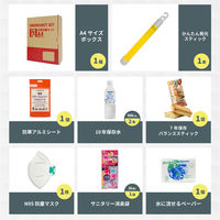 車載用防災セット A4ボックスタイプ 10セット 防災セット 防災グッズ 非常用持ち出し袋 運転中 車 渋滞（直送品）