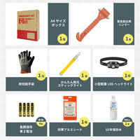 車載用防災セットDX A4ボックスタイプ 10セット 防災セット 防災グッズ 非常用持ち出し袋 運転中 車 渋滞（直送品）