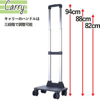 スワン SAXON cue 2way ショッピングキャリーバッグ 5233 ブラック 1個（直送品）