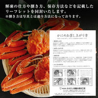 カネサン佐藤水産 北海道産オオズワイガニ カナダ産本ズワイガニ 食べ比べセット 2尾 計750g 116652881 1箱(2尾入)（直送品）
