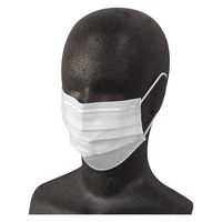 竹虎 サージマスクCP（金属ノーズブリッジ/ホワイト）076231 1箱（50枚入）